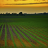 Seguro Agro